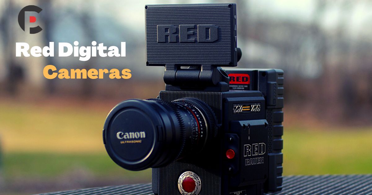 Explore Options for Red Digital Camera Financing